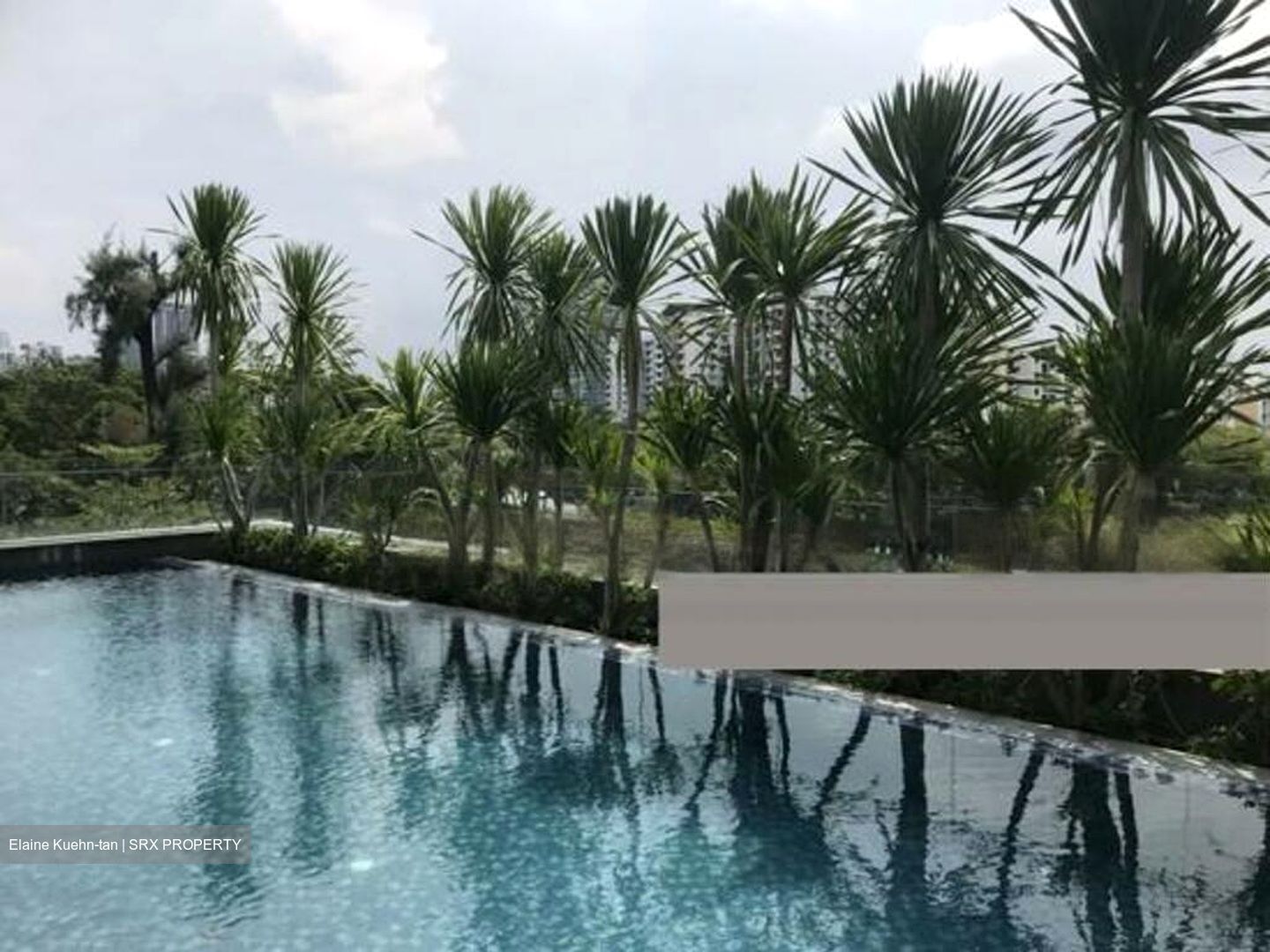 6 Derbyshire (D11), Condominium #458463861